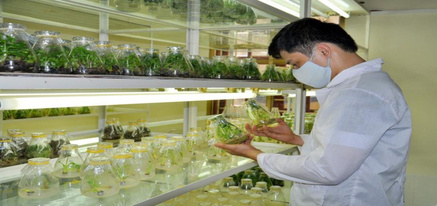 SUSTANK R&D and Training Center — breeding, high-tech farmer training